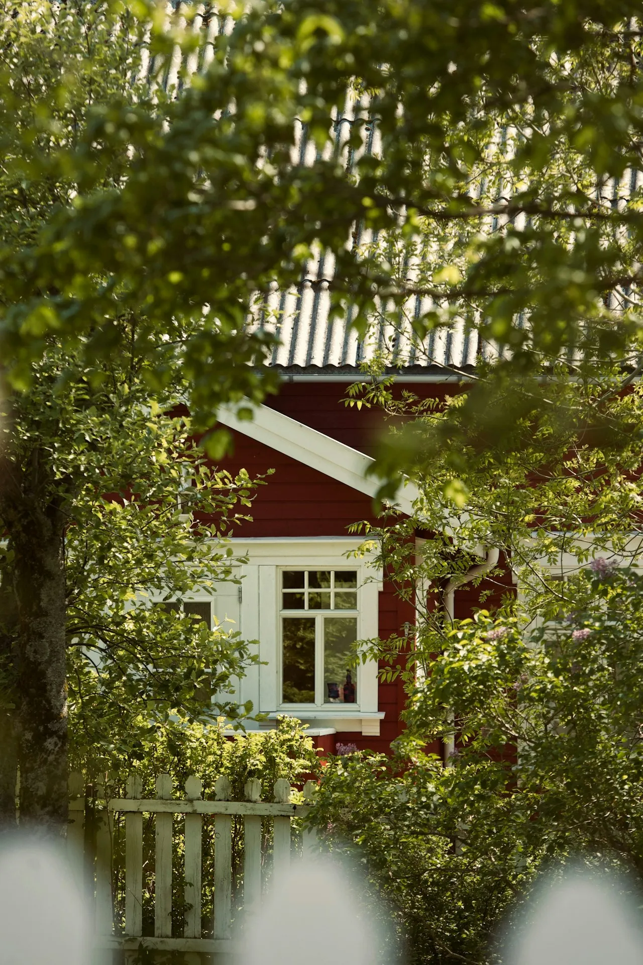 Rød trekledning og hvitt vindu på et småhus omgitt av hage
